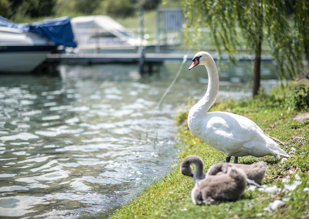 Seehotel Sternen Horw Exteriör bild