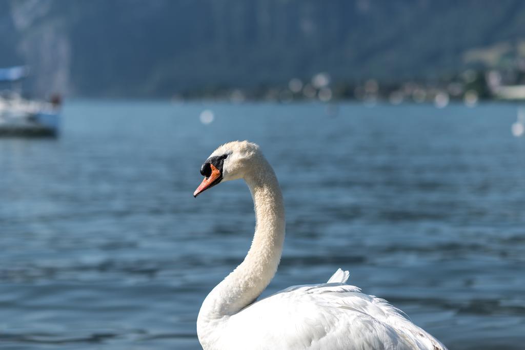 Seehotel Sternen Horw Exteriör bild